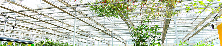 鄒城市高宗智智能溫室技術有限公司